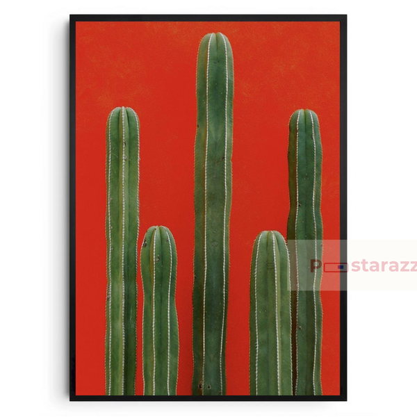Tranh Cactus