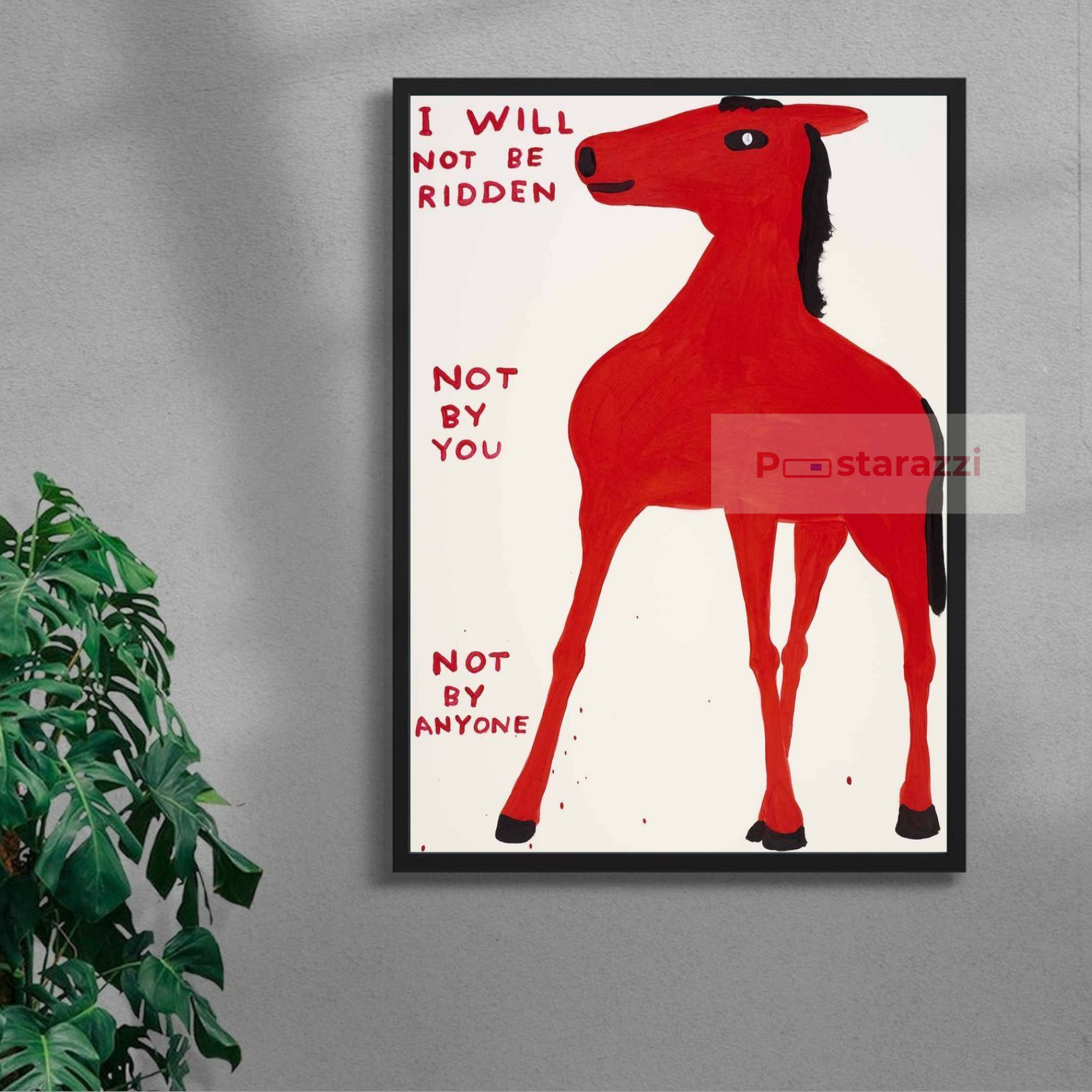 I Will Not Be Ridden