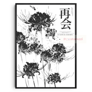 Lycoris Radiata