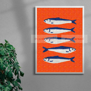 Salmon