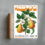 Two Pears