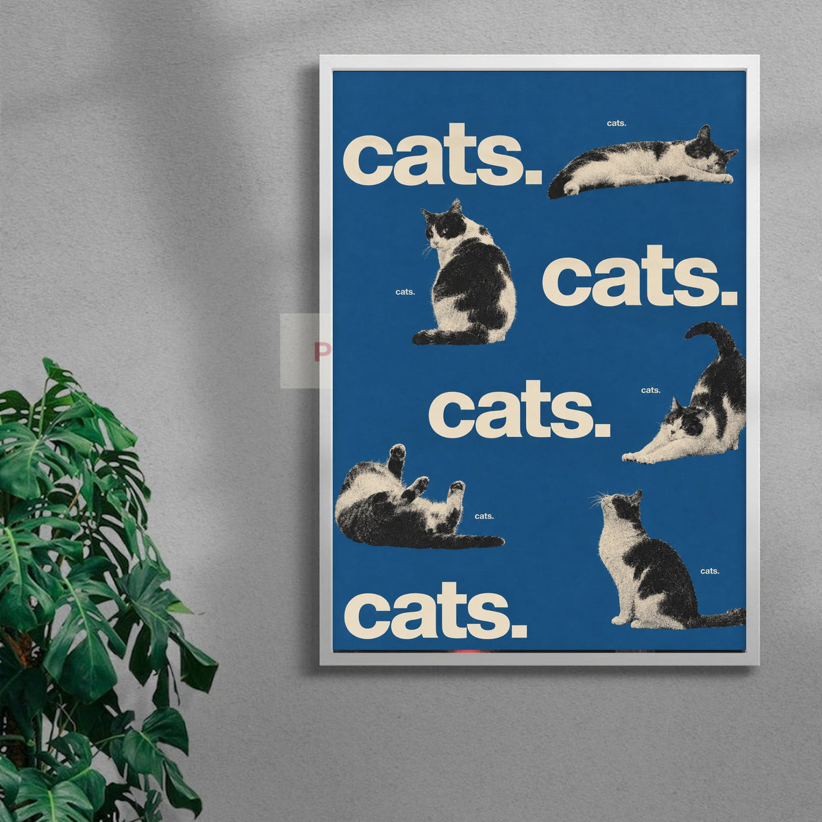 Blue Cats — white frame